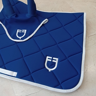 Conjunto EQUESTRO mantilla Uso General/Salto y orejeras COB color azul royal/blanco - Imagen 2